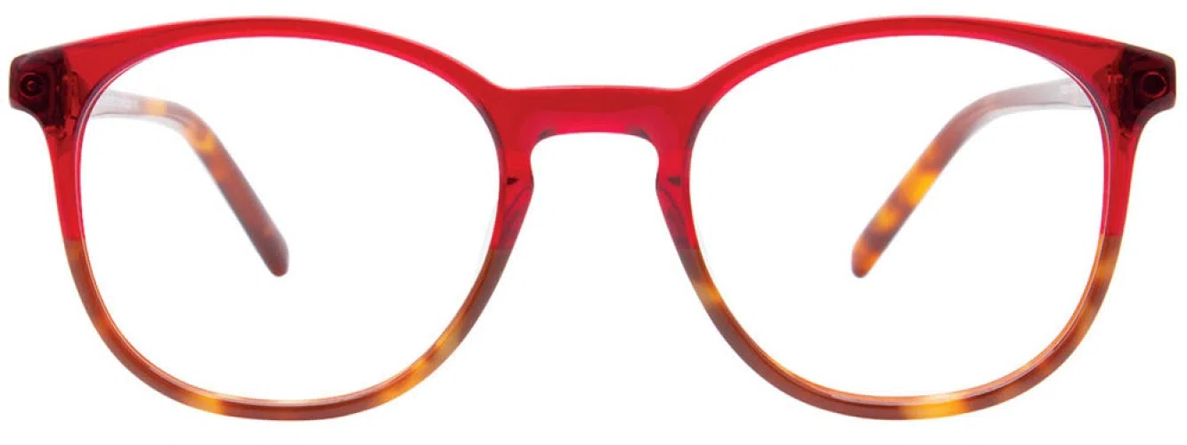 Takumi TK1254 Eyeglasses - view 5